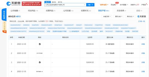 快手科技拓展電商版圖 申請“116快手電商購物狂歡節”相關商標，強化計算機軟硬件技術開發