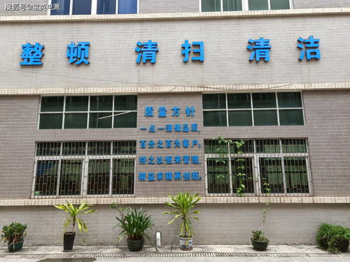 寶英電源 技術(shù)研發(fā)與計(jì)算機(jī)軟硬件開(kāi)發(fā)的雙重優(yōu)勢(shì)